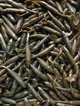 Load image into Gallery viewer, 3.5” SWIMMING MINNOW, PADDLE TAIL, SWIM BAIT, BASS LURE, GREEN PUMPKIN (25)