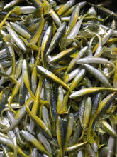 Load image into Gallery viewer, 3.5” SWIMMING MINNOW, PADDLE TAIL, SWIMBAIT, BASS LURE, SEXY SHAD (25)