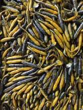 Load image into Gallery viewer, 3.5” SWIMMING MINNOW, PADDLE TAIL, SWIM BAIT, BASS LURE, SUNFISH (25)