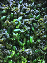 Load image into Gallery viewer, 2.5” Frogs, Soft Plastic Frogs, Toad, Assorted Greens (30)