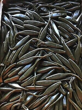 Load image into Gallery viewer, 5” Jerk Minnow, Swimbait, Fork Tail, Shad, Bass, Pickerel,GREEN PUMPKIN 25