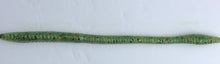 Load image into Gallery viewer, 6” Green Worm, Black, Green, Red, Gold Flake (25)
